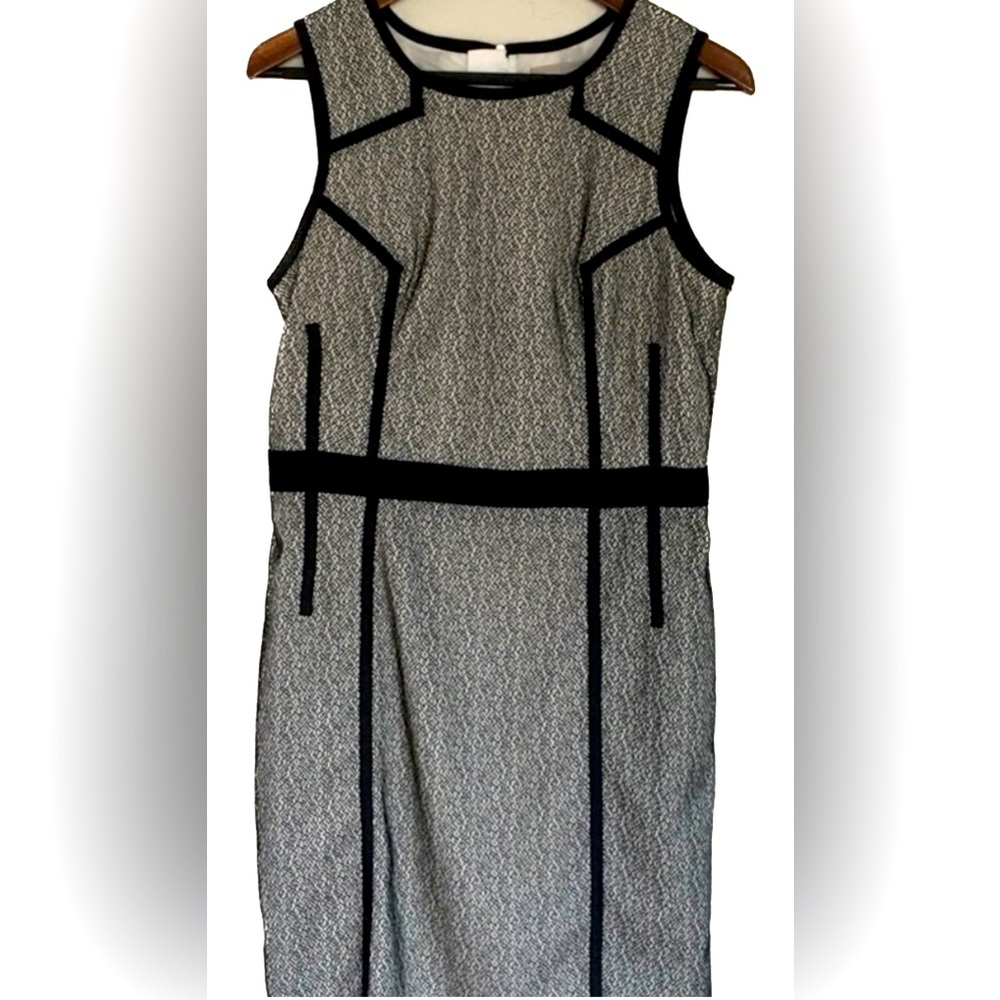 Stunning Banana Republic Shift Dress